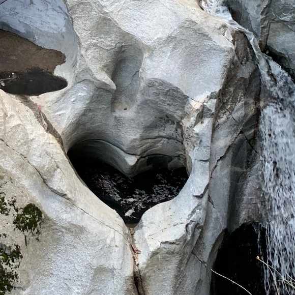 Meet your Posher, David - Picture 1 of 1